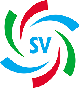 SMART VISION W.L.L – Safety, Security & Automation experts